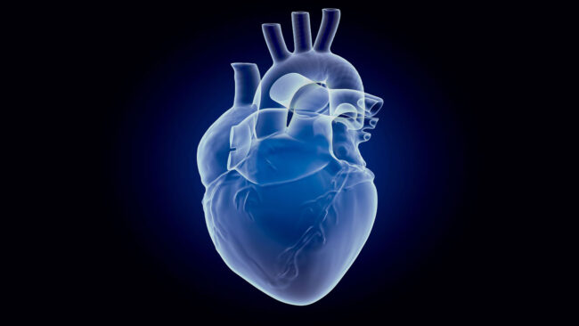 Understanding And Preventing Cardiovascular Disease Performance