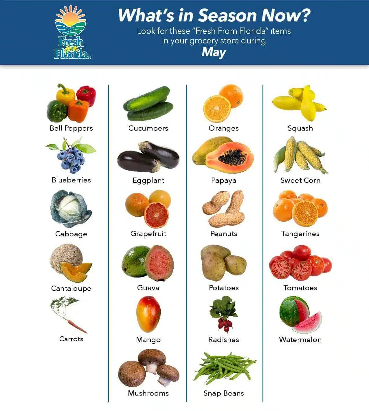 florida may seasonality