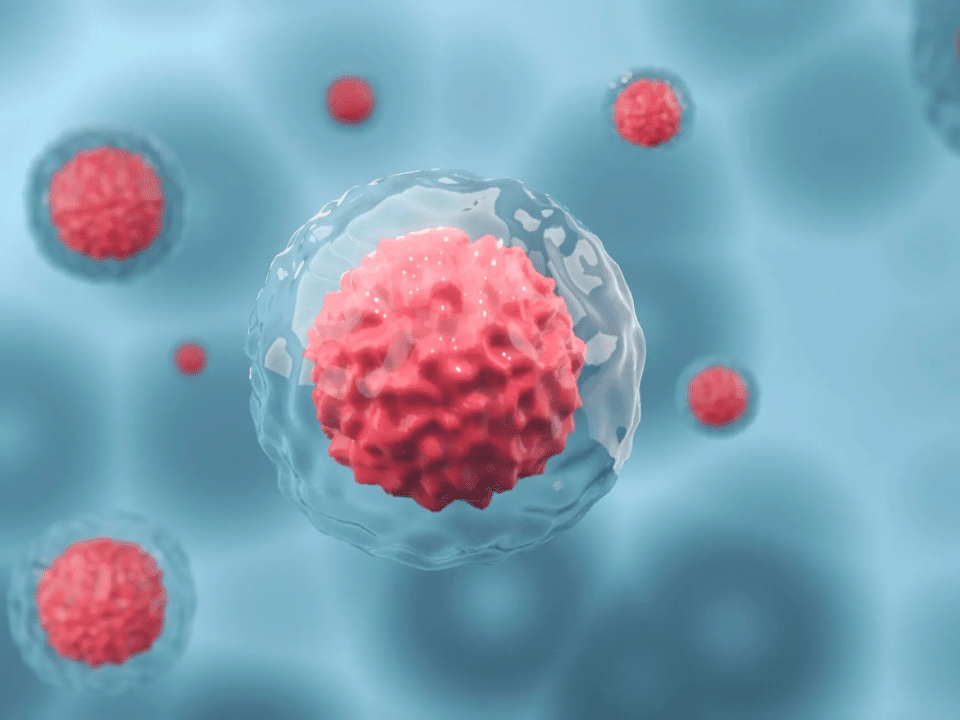 stem cell treatment
