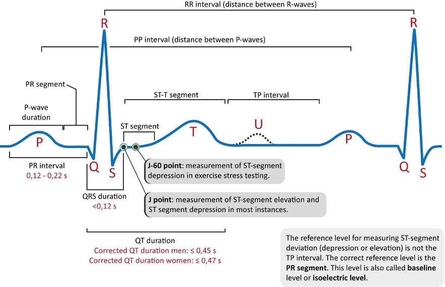 HRV RR Intervals