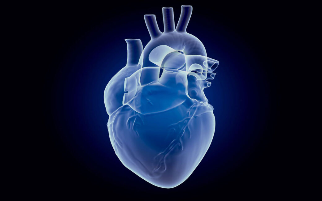Understanding and preventing cardiovascular disease