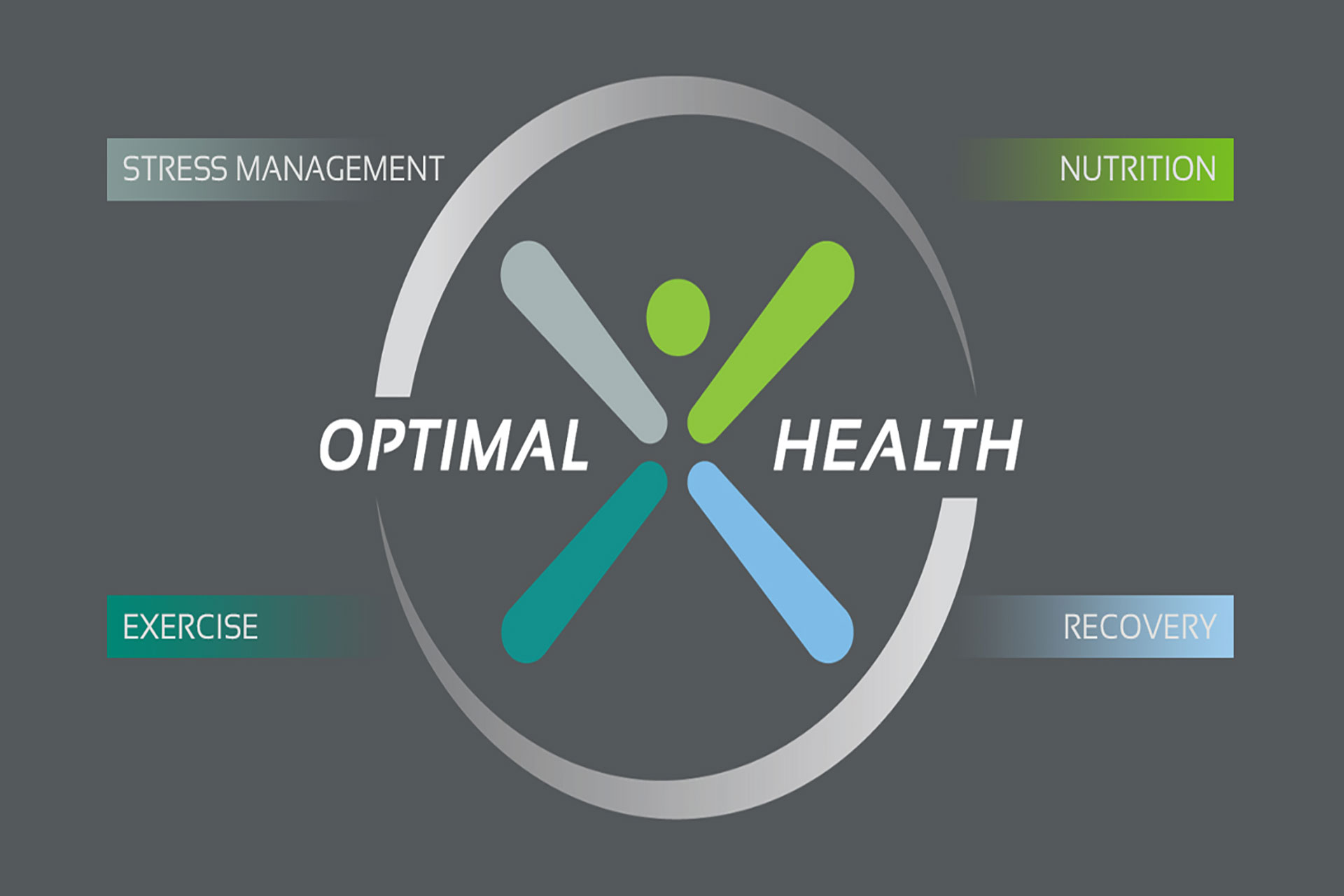 the four pillars of optimal health