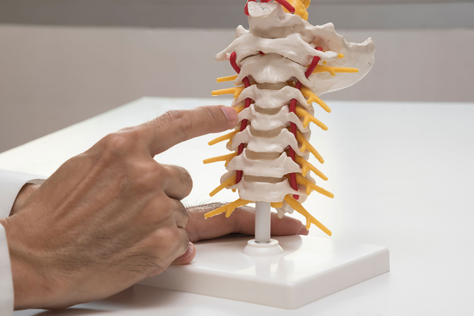 What are the common causes of back pain?